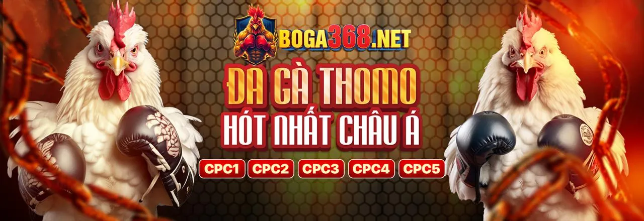 Đá gà trực tuyến trên 68GB App Android